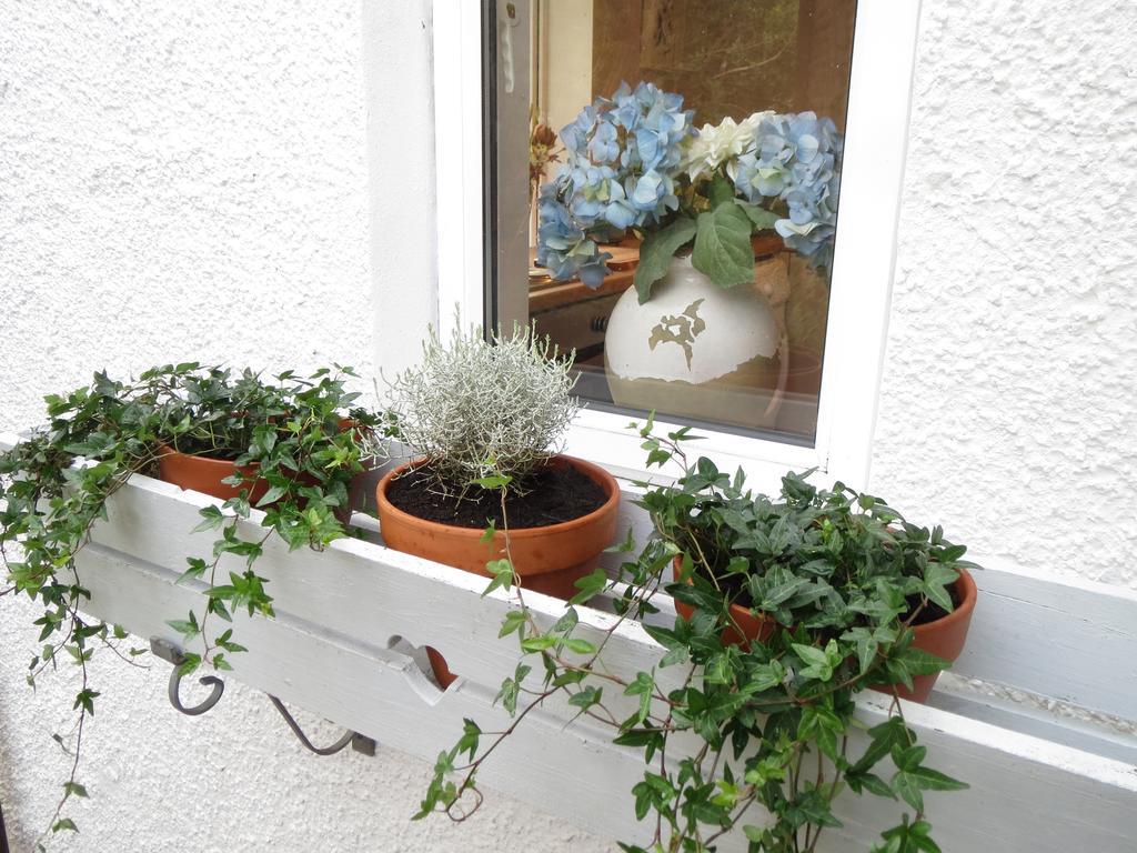 Elmbank Garden Apartment オーバン 部屋 写真